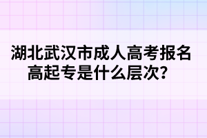 湖北武汉市成人高考报名高起专是什么层次？