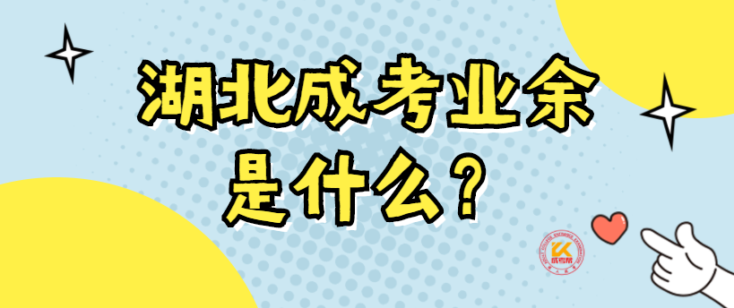 湖北成考业余是什么？