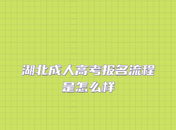 湖北成人高考报名流程