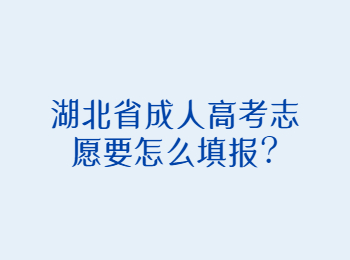 湖北省成人高考志愿