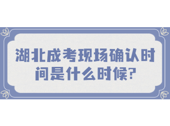 湖北成考现场确认时间