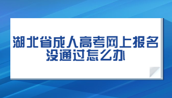 湖北省成人高考网上报名没通过怎么办?