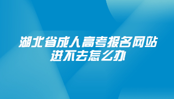 湖北省成人高考报名网站进不去怎么办