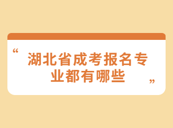 湖北省成考报名专业