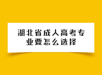 湖北省成人高考专业